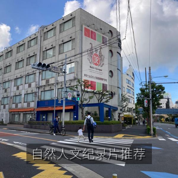自然人文纪录片推荐